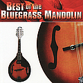Marty Stuart - Best of the Bluegrass Mandolin album