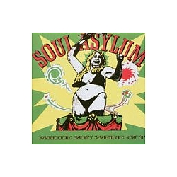 Soul Asylum - While You Were Out album