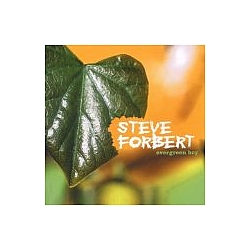 Steve Forbert - Evergreen Boy альбом