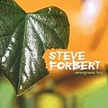Steve Forbert - Evergreen Boy album