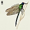 Strawbs - Dragonfly альбом