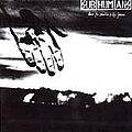 Subhumans - From the Cradle to the Grave album