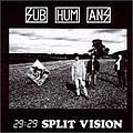 Subhumans - 29:29 Split Vision album