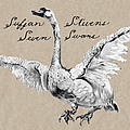 Sufjan Stevens - Seven Swans альбом