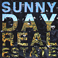 Sunny Day Real Estate - Flatland Spider альбом