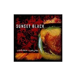 Sunset Black - Common Ground album
