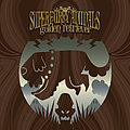 Super Furry Animals - Golden Retriever album