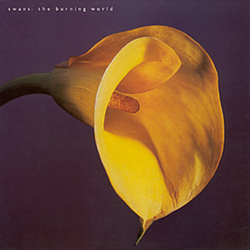 Swans - The Burning World album