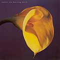 Swans - The Burning World album