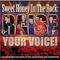 Sweet Honey in the Rock - Raise Your Voice album