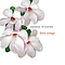 Tammy Wynette - Love Songs album
