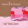 Melvins - Hostile Ambient Takeover album