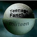 Teenage Fanclub - Thirteen (bonus disc) album