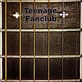 Teenage Fanclub - What You Do to Me album