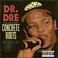 The D.O.C. - Concrete Roots album
