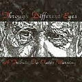 Spiral Architect - Through Different Eyes: A Tribute to Fates Warning album