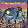 Spiritual Beggars - Another Way to Shine альбом