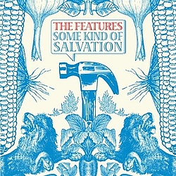 The Features - Some Kind Of Salvation album