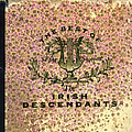 The Irish Descendants - The Best of the Irish Descendants album