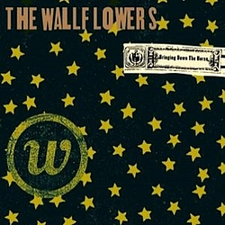 The Wallflowers - Bringing Down The Horse album