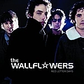 The Wallflowers - Red Letter Days album