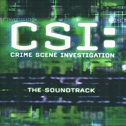 The Wallflowers - C.S.I.: Crime Scene Investigation album