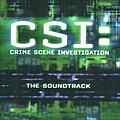 The Wallflowers - C.S.I.: Crime Scene Investigation альбом
