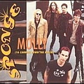 Sponge - Molly album