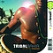 Timbalada - Tribal Bahia album