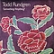Todd Rundgren - Something/Anything альбом