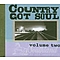 Tony Joe White - Country Got Soul, Vol. 2 album
