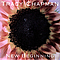 Tracy Chapman - New Beginning album
