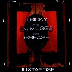 Tricky - Juxtapose album