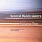Various Artists - Several Bands Galore Volume Two album