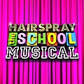 Various Artists - Hairspray - &quot;The School Musical&quot; album