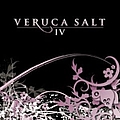 Veruca Salt - IV album