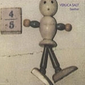 Veruca Salt - Seether album