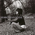 Vienna Teng - Dreaming Through The Noise album