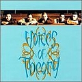 Voices Of Theory - Voices of Theory album