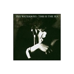 Waterboys - This Is The Sea  альбом