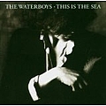 Waterboys - This Is The Sea  альбом