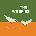 Weepies - Say I Am You album