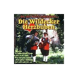 Wildecker Herzbuben - Ist das nicht himmlisch альбом