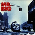 Mr. Big - Bump Ahead album
