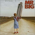 Mr. Big - Actual Size album