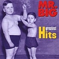 Mr. Big - Greatest Hits альбом