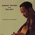 Muddy Waters - Muddy Waters Sings Big Bill Broonzy album