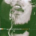 Ziggy Marley &amp; The Melody Makers - Spirit of Music album