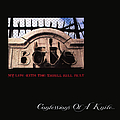 My Life With The Thrill Kill Kult - Confession Of A Knife альбом