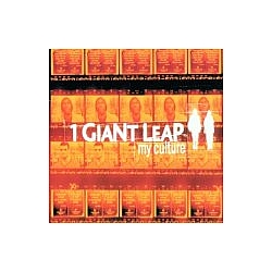 1 Giant Leap - My Culture album